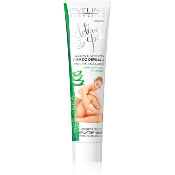 Eveline Cosmetics Active Epil crema depilatoare pentru mâini, axile și zona inghinală cu aloe vera 125 ml
