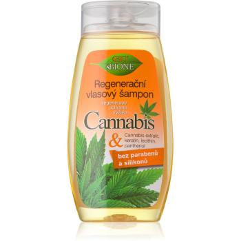 Bione Cosmetics Cannabis sampon pentru regenerare 260 ml