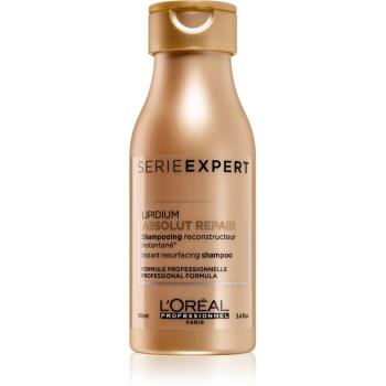 L’Oréal Professionnel Serie Expert Absolut Repair Lipidium sampon hranitor pentru par foarte deteriorat 100 ml